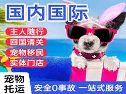 东营胜利航空快递国际宠物托运 【国